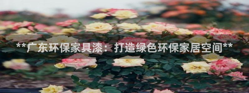杏耀注册平台官网