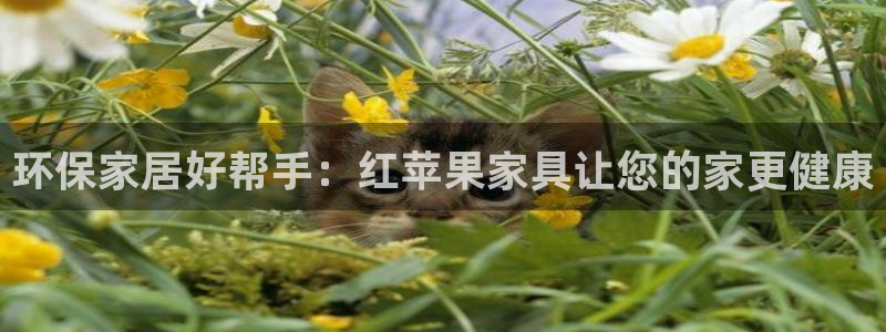 杏耀平台几年了