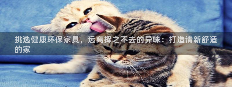 杏耀平台官方登陆