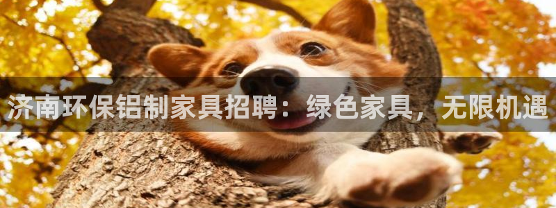 杏耀平台还在吗