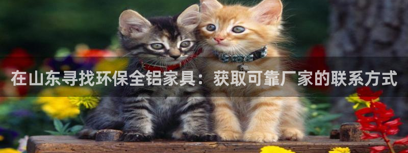 杏耀app怎样申请