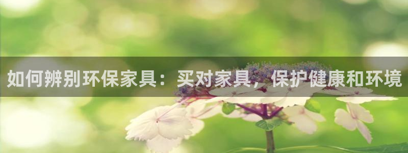 杏耀登录网页