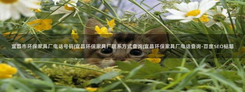 杏耀主管qq