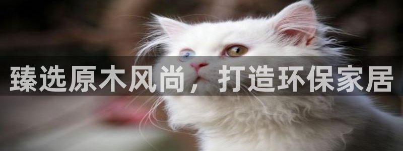 杏耀注册代理