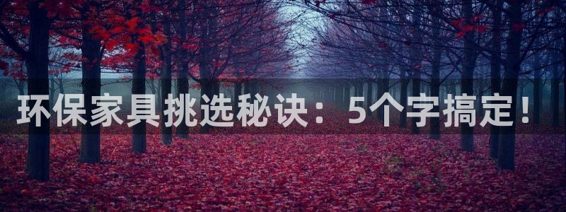 杏耀代理注册开户