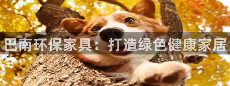 杏耀官方测速