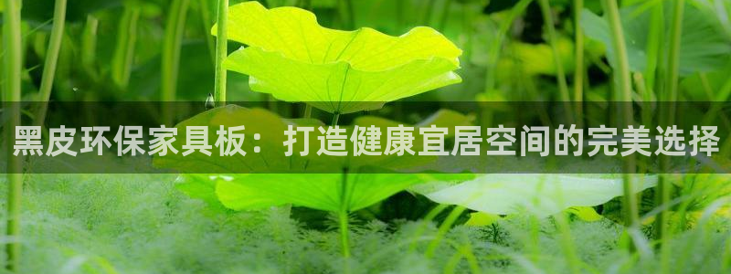 杏耀登入官网