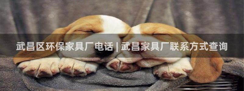 杏耀平台代理注册