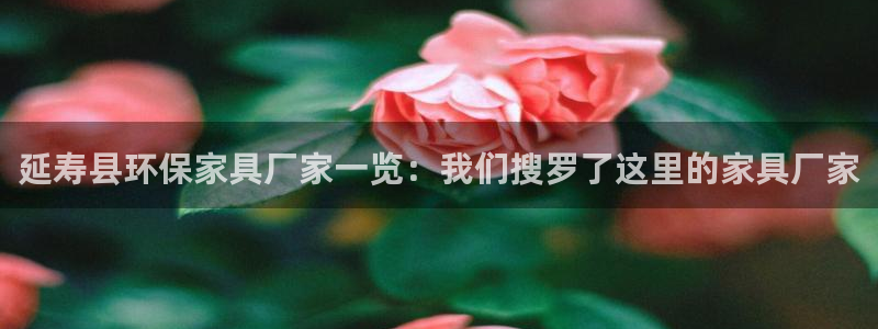 杏耀测速注册