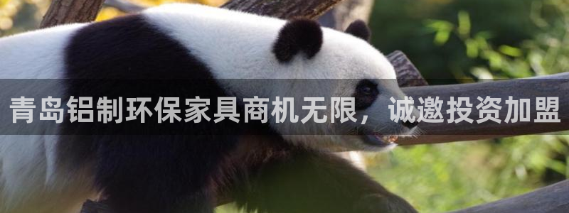 杏耀平台招商的流程
