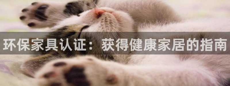 杏耀主管qq