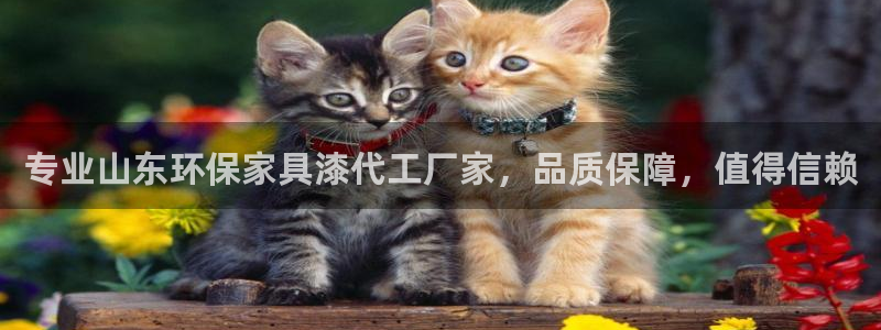 杏耀总代