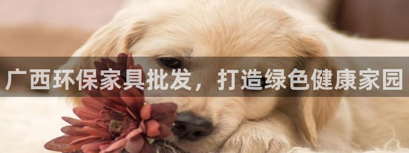 杏耀平台怎么注册