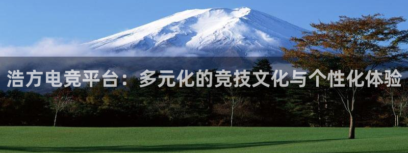 南宫电竞平台：浩方电竞平台：多元化的竞技文化与个性化体验