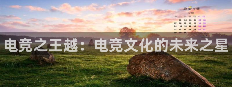 南宫电竞注册：电竞之王越：电竞文化的未来之星