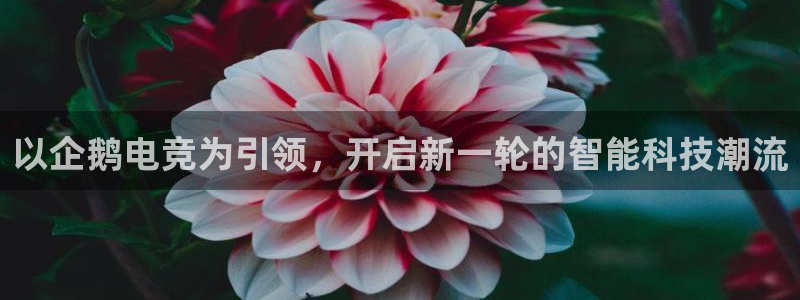 南宫电竞网：以企鹅电竞为引领，开启新一轮的智能科技潮流