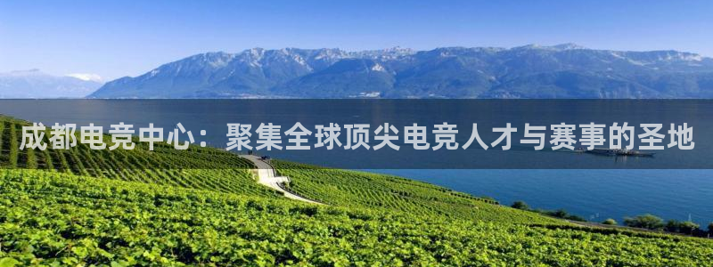 南宫电竞官网