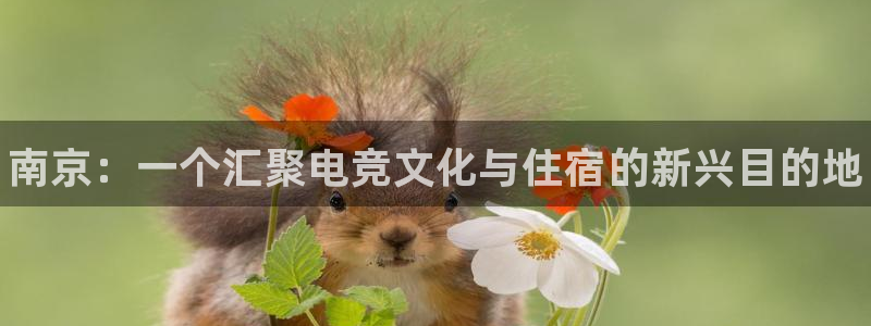 南宫电竞官网：南京：一个汇聚电竞文化与住宿的新兴目的地