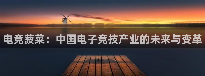 南宫电竞贴吧：电竞菠菜：中国电子竞技产业的未来与变革