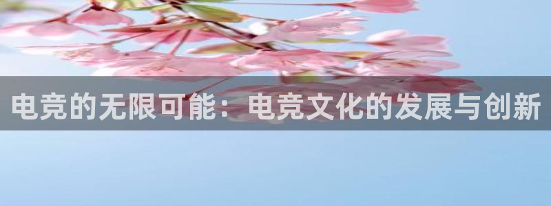 南宫电竞：电竞的无限可能：电竞文化的发展与创新
