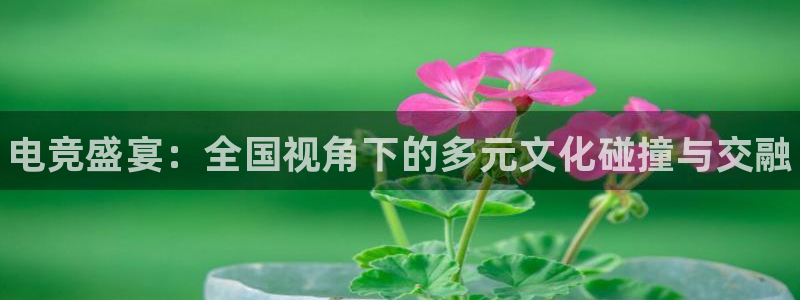 南宫电竞：电竞盛宴：全国视角下的多元文化碰撞与交融