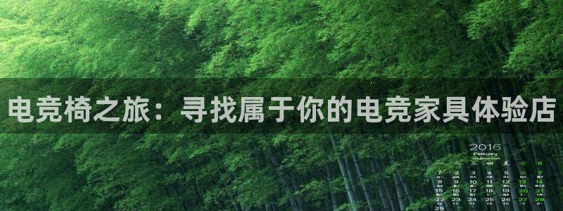 南宫电竞注册：电竞椅之旅：寻找属于你的电竞家具体验店