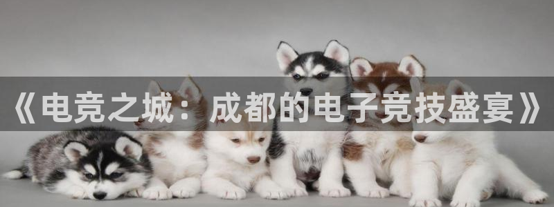 南宫电竞平台：《电竞之城：成都的电子竞技盛宴》