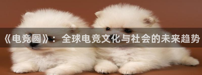 南宫电竞：《电竞圆》：全球电竞文化与社会的未来趋势