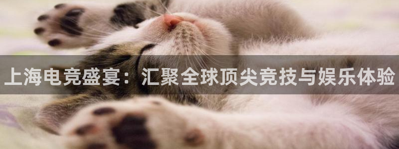 南宫电竞官网：上海电竞盛宴：汇聚全球顶尖竞技与娱乐体验