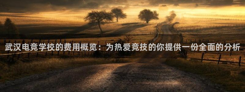 南宫电竞贴吧：武汉电竞学校的费用概览：为热爱竞技的你提供一份全面的分析