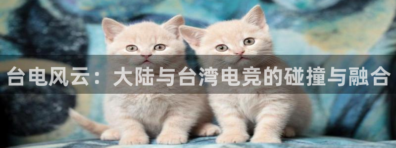 南宫电竞贴吧：台电风云：大陆与台湾电竞的碰撞与融合