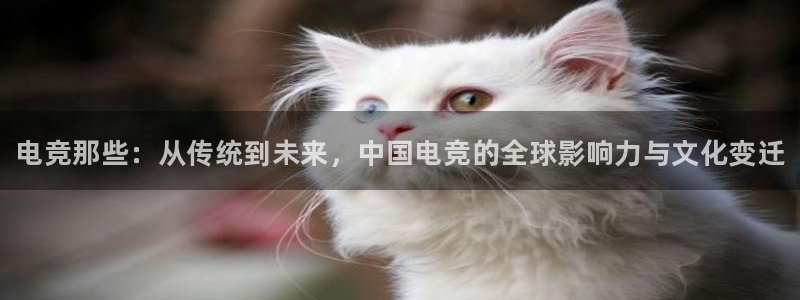 南宫电竞：电竞那些：从传统到未来，中国电竞的全球影响力与文化变迁