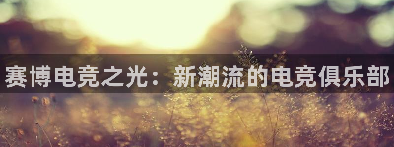 南宫电竞贴吧：赛博电竞之光：新潮流的电竞俱乐部