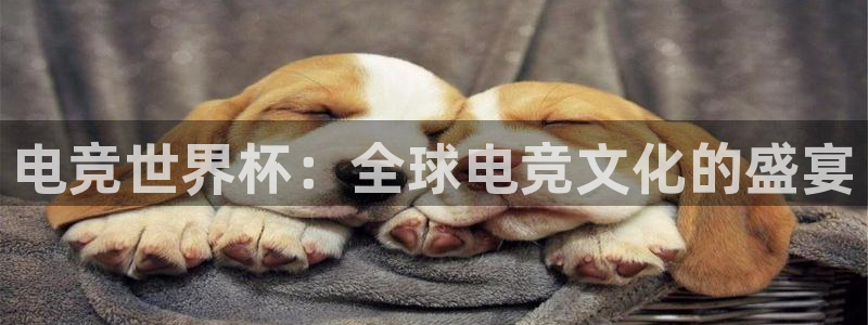 南宫电竞官网：电竞世界杯：全球电竞文化的盛宴
