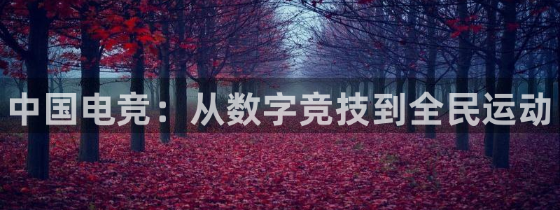 南宫电竞官网：中国电竞：从数字竞技到全民运动