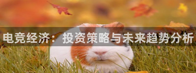 南宫电竞app：电竞经济：投资策略与未来趋势分析