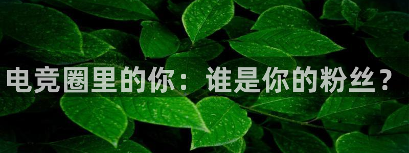 南宫电竞贴吧：电竞圈里的你：谁是你的粉丝？