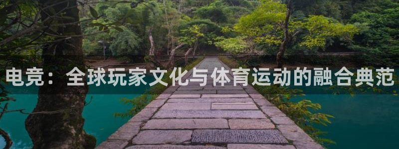 南宫电竞网：电竞：全球玩家文化与体育运动的融合典范