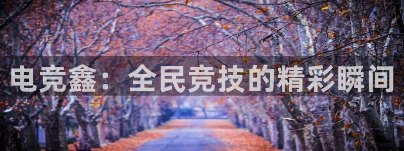 南宫电竞注册：电竞鑫：全民竞技的精彩瞬间