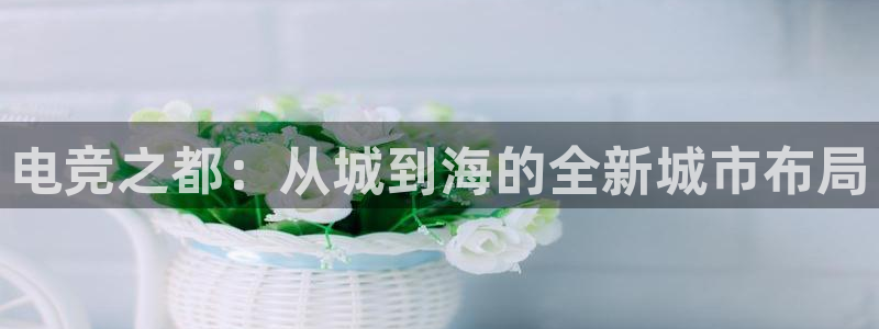 南宫电竞官网：电竞之都：从城到海的全新城市布局
