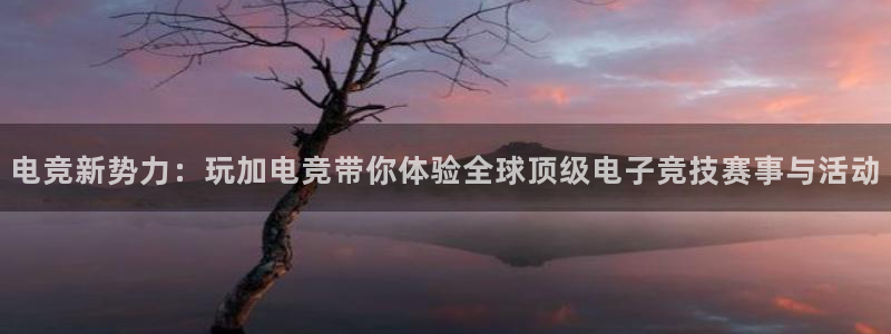 南宫电竞网：电竞新势力：玩加电竞带你体验全球顶级电子竞技赛事与活动