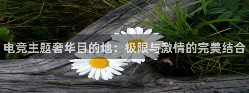 南宫电竞贴吧：电竞主题奢华目的地：极限与激情的完美结合