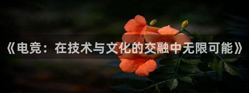 南宫电竞平台：《电竞：在技术与文化的交融中无限可能》