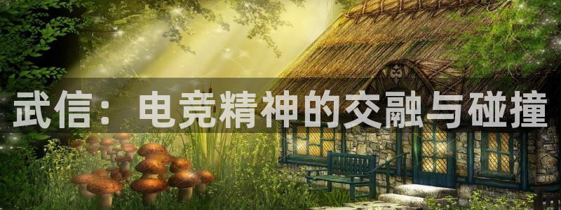 南宫电竞登陆：武信：电竞精神的交融与碰撞