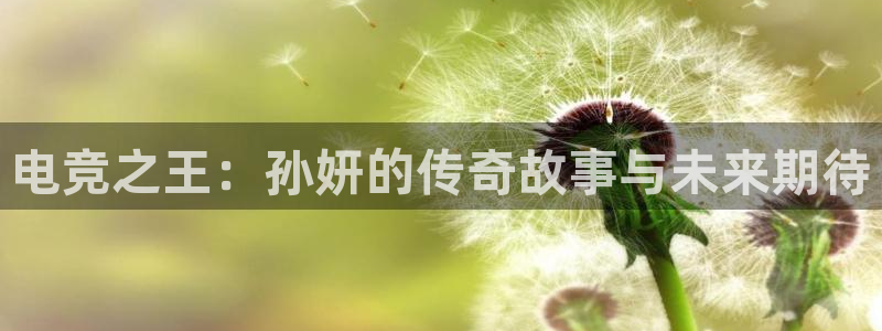 南宫电竞贴吧：电竞之王：孙妍的传奇故事与未来期待