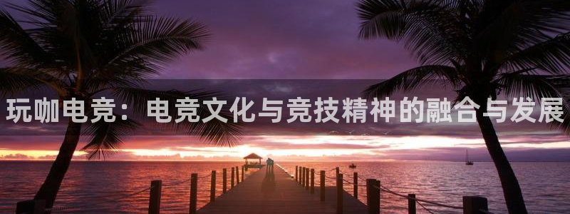 南宫电竞贴吧：玩咖电竞：电竞文化与竞技精神的融合与发展