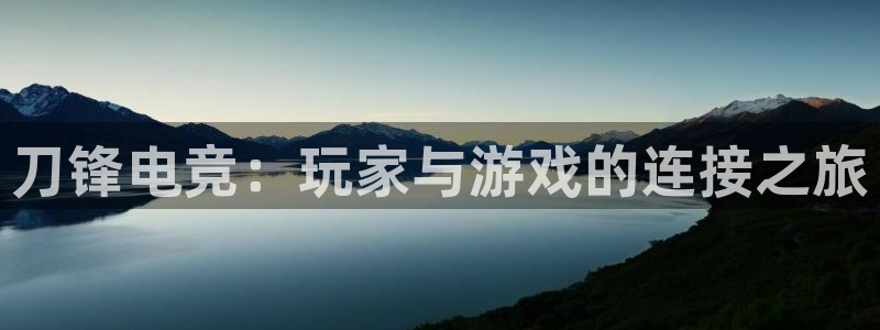 南宫电竞平台：刀锋电竞：玩家与游戏的连接之旅