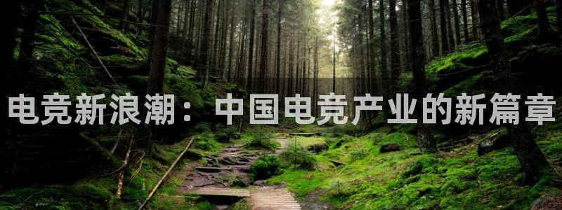 南宫电竞登陆：电竞新浪潮：中国电竞产业的新篇章