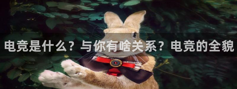 南宫电竞平台：电竞是什么？与你有啥关系？电竞的全貌