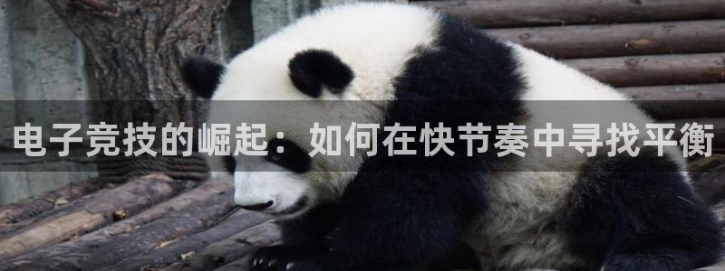 南宫电竞登陆：电子竞技的崛起：如何在快节奏中寻找平衡